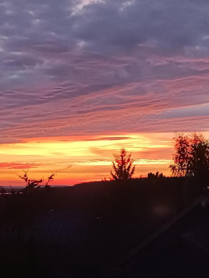 Ferienwohnung Hey Elgersburg Esterno foto